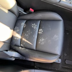 Stellar Detailing