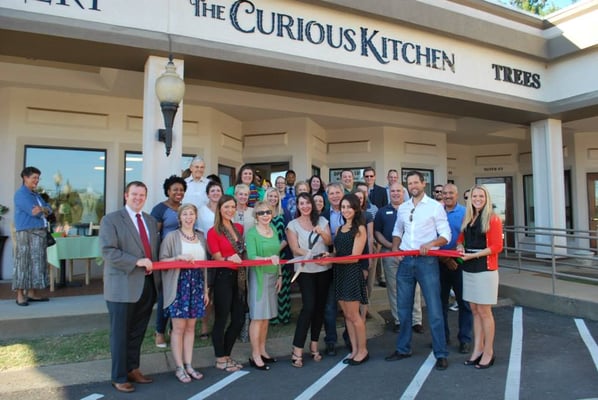 The Curious Kitchen by null