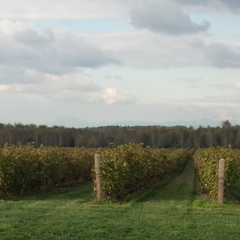 Samson Estates Winery - Wineries Near Me - Everson, Washington