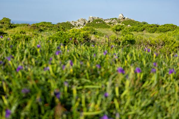 Tomales Point Trailhead by null