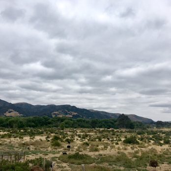 Ostrichland USA - Attraction Farms Near Me - Solvang, California