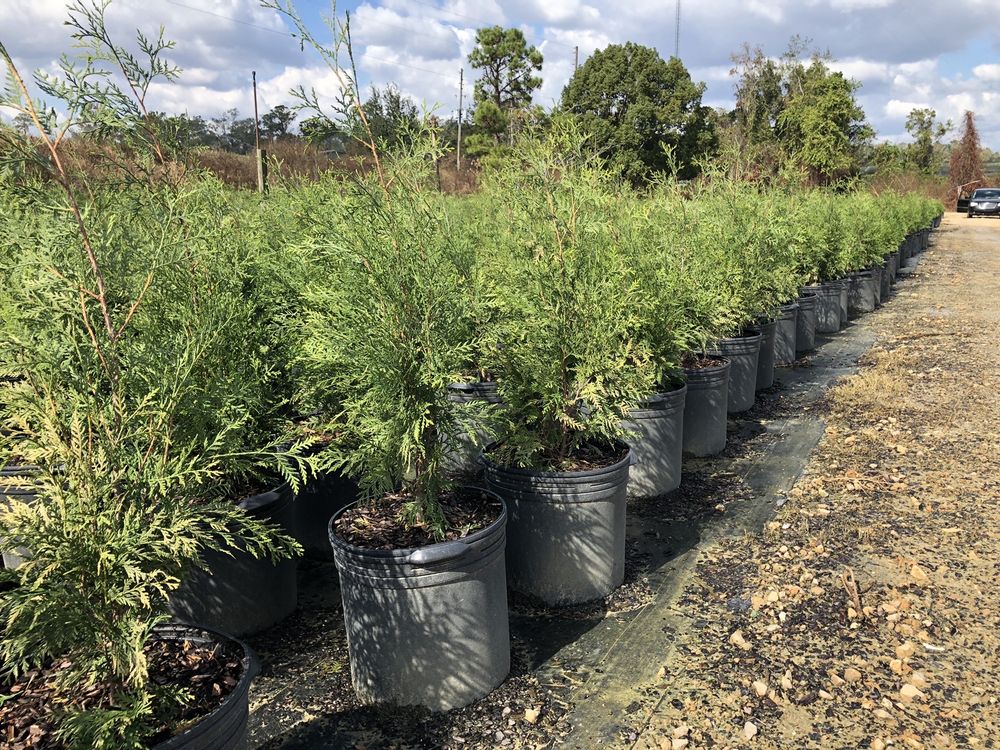 SIMPSON NURSERIES Updated October 2024 52 Nacoosa Rd, Monticello