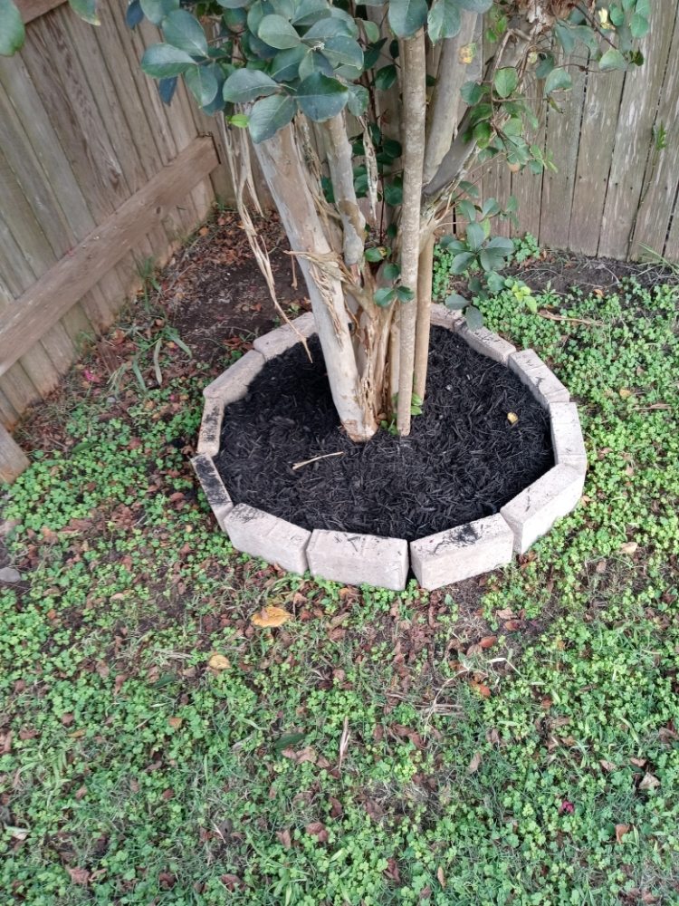 Slide of Pastrano Landscape And More