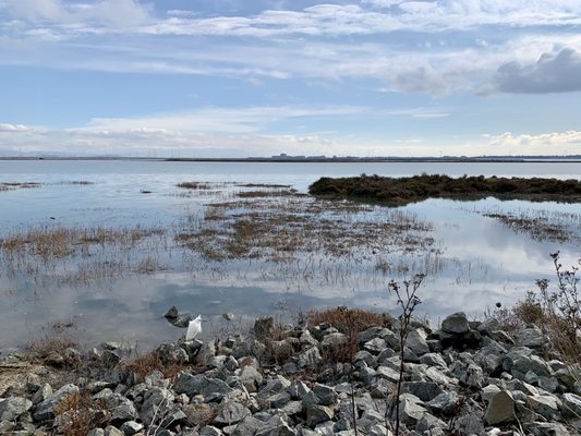 Photo of Redwood Shores Bay Trail - Redwood City, CA, US.