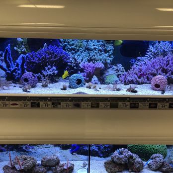 Petco - New design layout. - Pet Stores Near Me - Grapevine, Texas