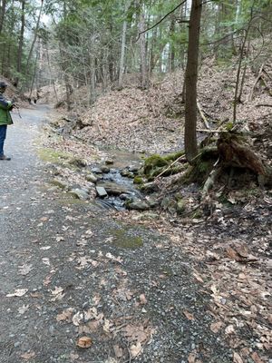 Saratoga Spa State Park by null