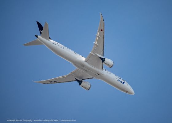 ANA (All Nippon Airways) by null
