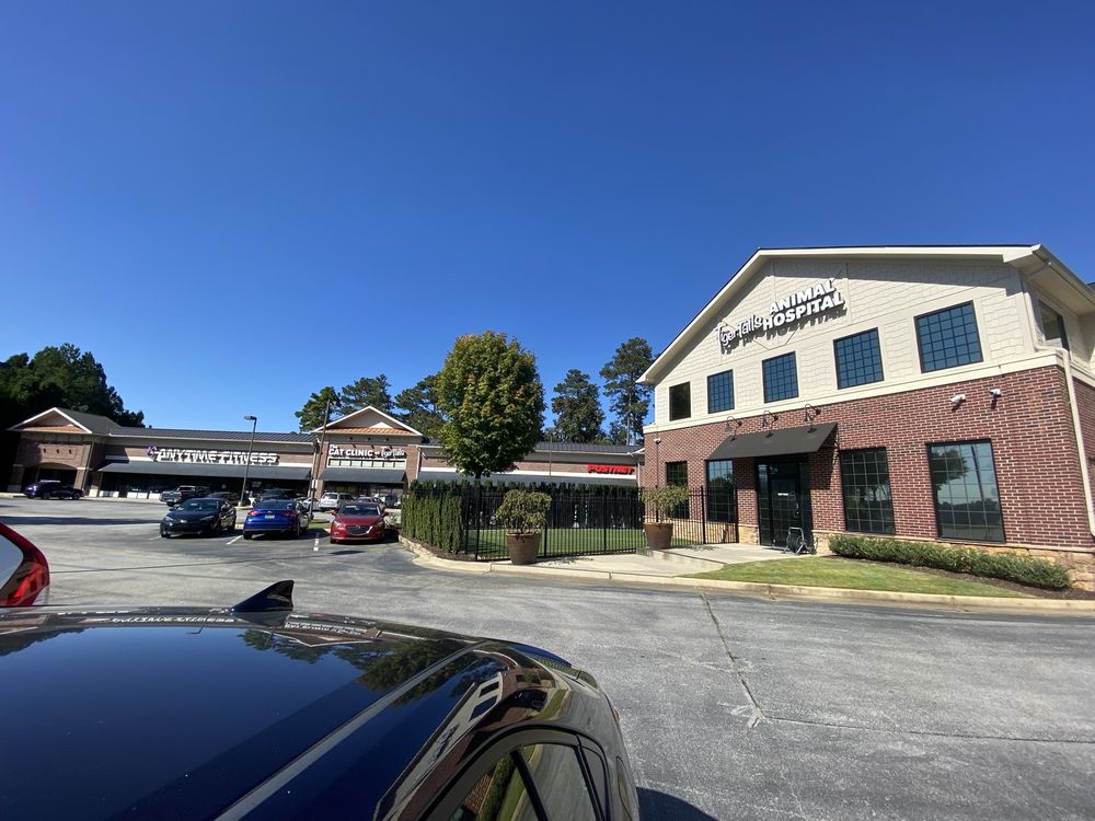 Tiger Tails Animal Hospital - pet boarding facility in Duluth, GA