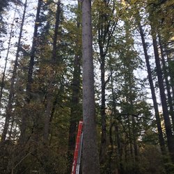 Black Diamond Camps - The super sketchy zipline offered by the camp.