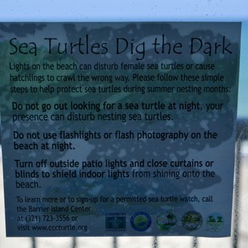 DoubleTree Suites by Hilton Hotel Melbourne Beach Oceanfront - Information on Sea Turtles and lights - Hotels Near Me - Melbourne, Florida DoubleTree Suites by Hilton Hotel Melbourne Beach Oceanfront - Information on Sea Turtles and lights - Hotels Near Me - Melbourne, Florida