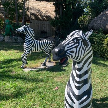 Sunset Cove Beach Resort - Animal mascots on property - Resorts Near Me - Key Largo, Florida