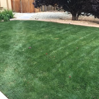 Keeping It Green Lawn Services - Nice job - Lawn Services Near Me Keeping It Green Lawn Services - Nice job - Lawn Services Near Me