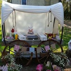 Lil'cowpoke Parties - Party area
