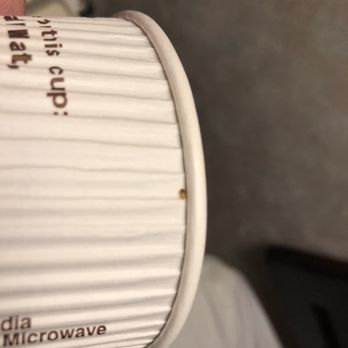 Days Inn by Wyndham Oneonta AL - Bed bugs!!! - Hotels Near Me - Oneonta, Alabama