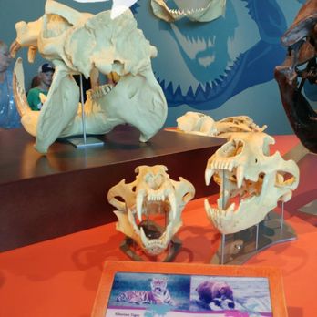 Science World - Museums Near Me - Vancouver, British Columbia Science World - Museums Near Me - Vancouver, British Columbia