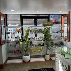 Elevation HQ - Beverages and Flowers