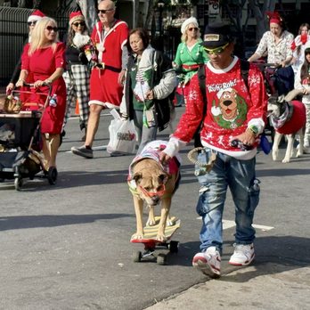 Werewolf - Skateboarding dog in the Pet Parade outside the restaurant! - Breakfast & Brunch Near Me - San Diego, California