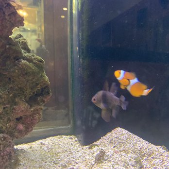 Live Bait - Nemo! - Bars Near Me - Orange Beach, Alabama Live Bait - Nemo! - Bars Near Me - Orange Beach, Alabama