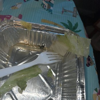 Themis Pizza - There was a spider in my salad at themis pizza. - Pizza Near Me - Rockland, Massachusetts Themis Pizza - There was a spider in my salad at themis pizza. - Pizza Near Me - Rockland, Massachusetts