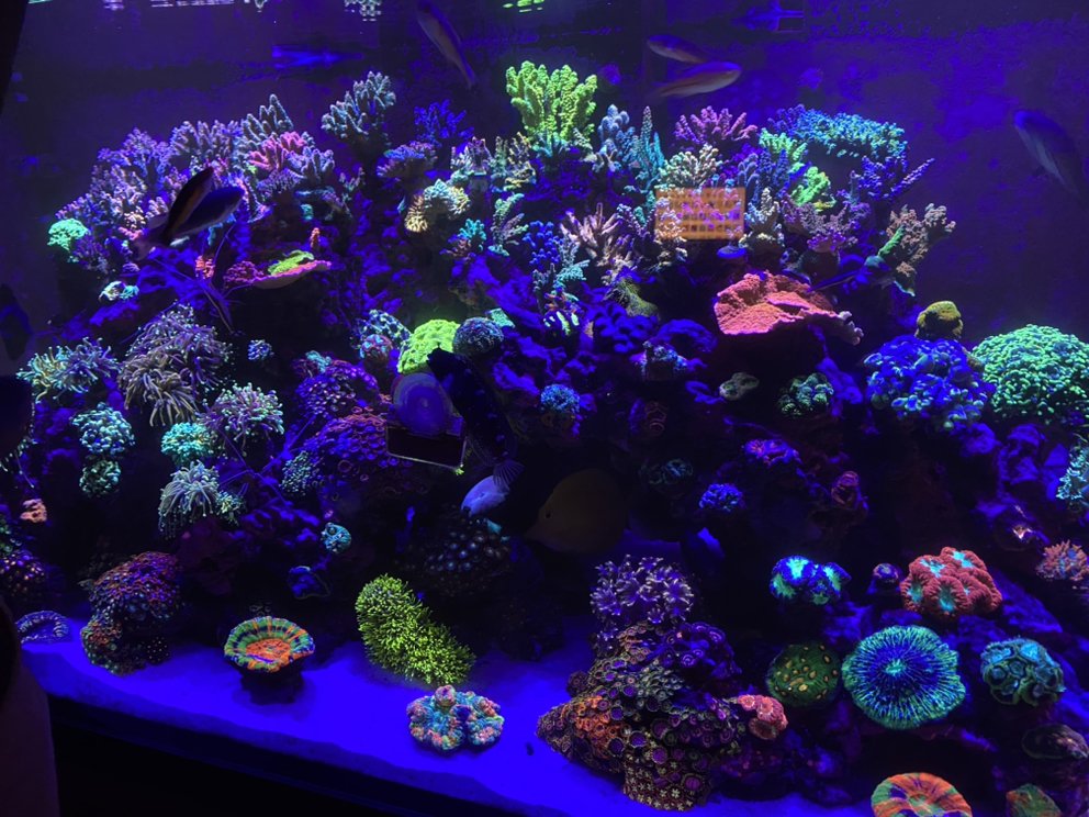 AQUAPROLA Updated April 2024 58 Photos Los Angeles, California