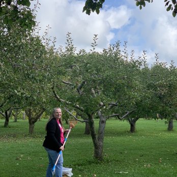 R&M Orchards - My co-worker about to pick an apple! - Fruits & Veggies Near Me - Kenosha, Wisconsin R&M Orchards - My co-worker about to pick an apple! - Fruits & Veggies Near Me - Kenosha, Wisconsin