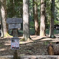 Little Crater Lake Campground - The trail beyond to Timothy Lake.