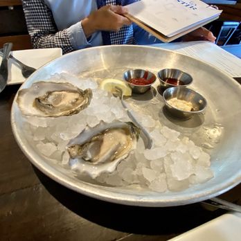 Stir - House Oysters - Cocktail Bars Near Me - Knoxville, Tennessee Stir - House Oysters - Cocktail Bars Near Me - Knoxville, Tennessee