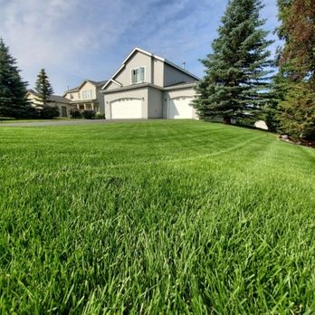 Iron Moose Lawn Company - a house in the background - Lawn Services Near Me Iron Moose Lawn Company - a house in the background - Lawn Services Near Me