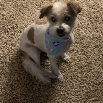Petco - Pretty girl! - Pet Stores Near Me - San Antonio, Texas Petco - Pretty girl! - Pet Stores Near Me - San Antonio, Texas