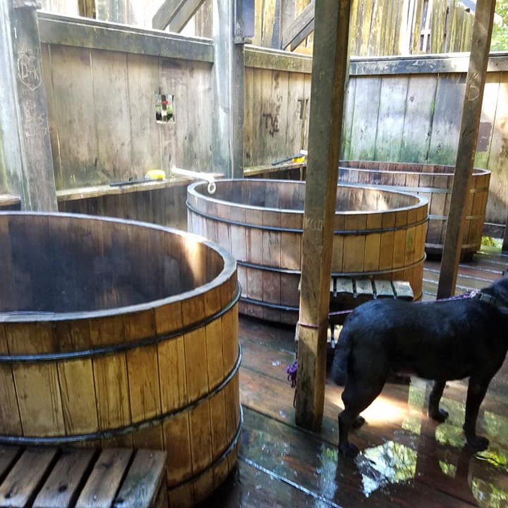 Bagby Hot Springs - Parks Near Me - Estacada, Oregon Bagby Hot Springs - Parks Near Me - Estacada, Oregon