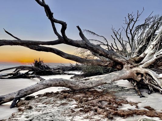 Big Talbot Island State Park by null