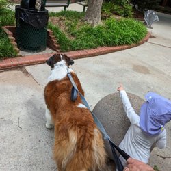 Marla Dorrel Park - Squirrel alert!