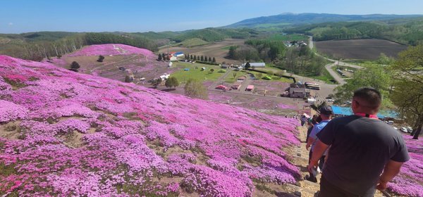Higashimokoto Shibazakura Park by null