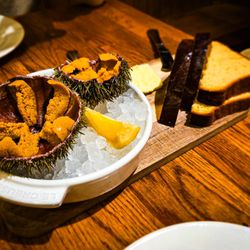L'Oursin - Sea Urchin