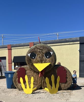 Cackle Hatchery® by null