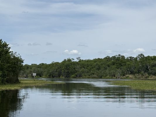 Blue Spring Adventures by null