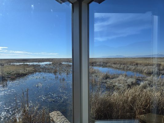 Bear River Migratory Bird Refuge Center by null