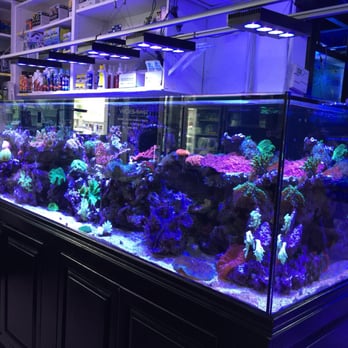 Rainbow Aquarium and Pond - Aquarium Services Near Me - Arleta, California Rainbow Aquarium and Pond - Aquarium Services Near Me - Arleta, California