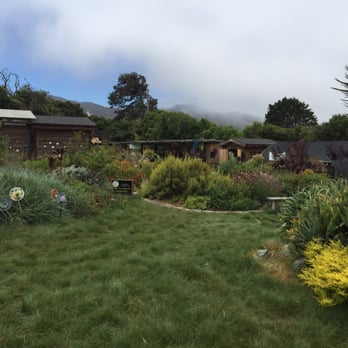 Sage Ecological Landscapes - Another angle on the example garden - Landscaping Near Me - Los Osos, California