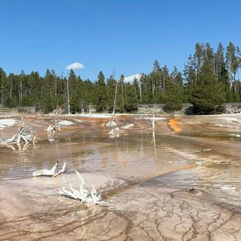 Fountain Paint Pot - Fountain Paint Pots Trail is one of my favorite quick stops in Yellowstone. Rees's Roots - Landmarks & Historical Buildings Near Me - Yellowstone National Park, Wyoming