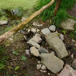 Forsthaus Lahnquelle