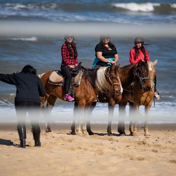 Virginia Beach Horseback 165 Photos 25 Reviews Virginia Beach Horseback 165 Photos