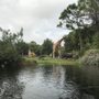Photo of Brevard Zoo Kayaking