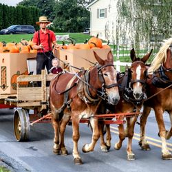 Tribute Transportation - September 28, 2021
Vocanville, Pennsylvania in the heart of the Amish Country _ Taking Pumpkins to the New London Auction.