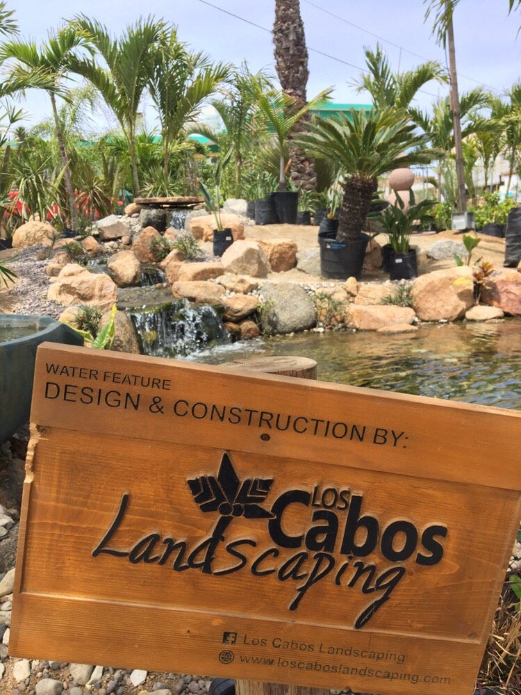Los Cabos Nursery