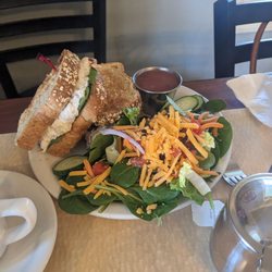 Chicken salad sandwich with green salad side and raspberry vinaigrette dressing