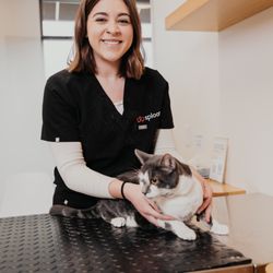 Sploot Veterinary Care - Highlands Ranch