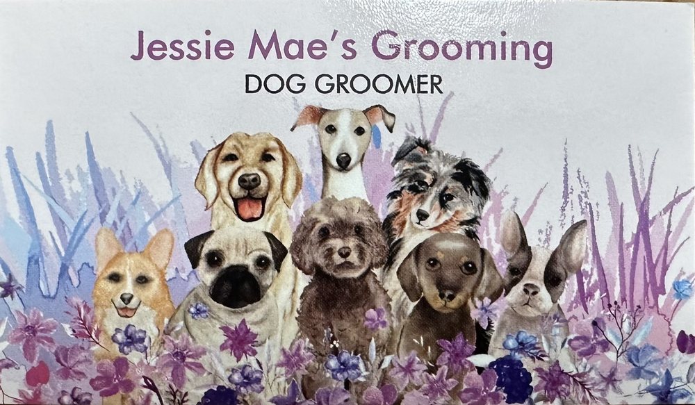 JESSIE MAE’S GROOMING Updated August 2024 15 Photos WINSTON SALEM