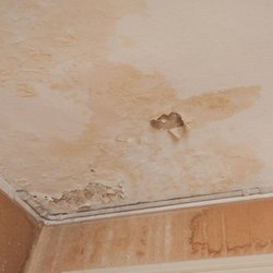 AquaTex Water Damage – Carrollton