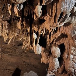 Tuckaleechee Caverns - Stelagtites